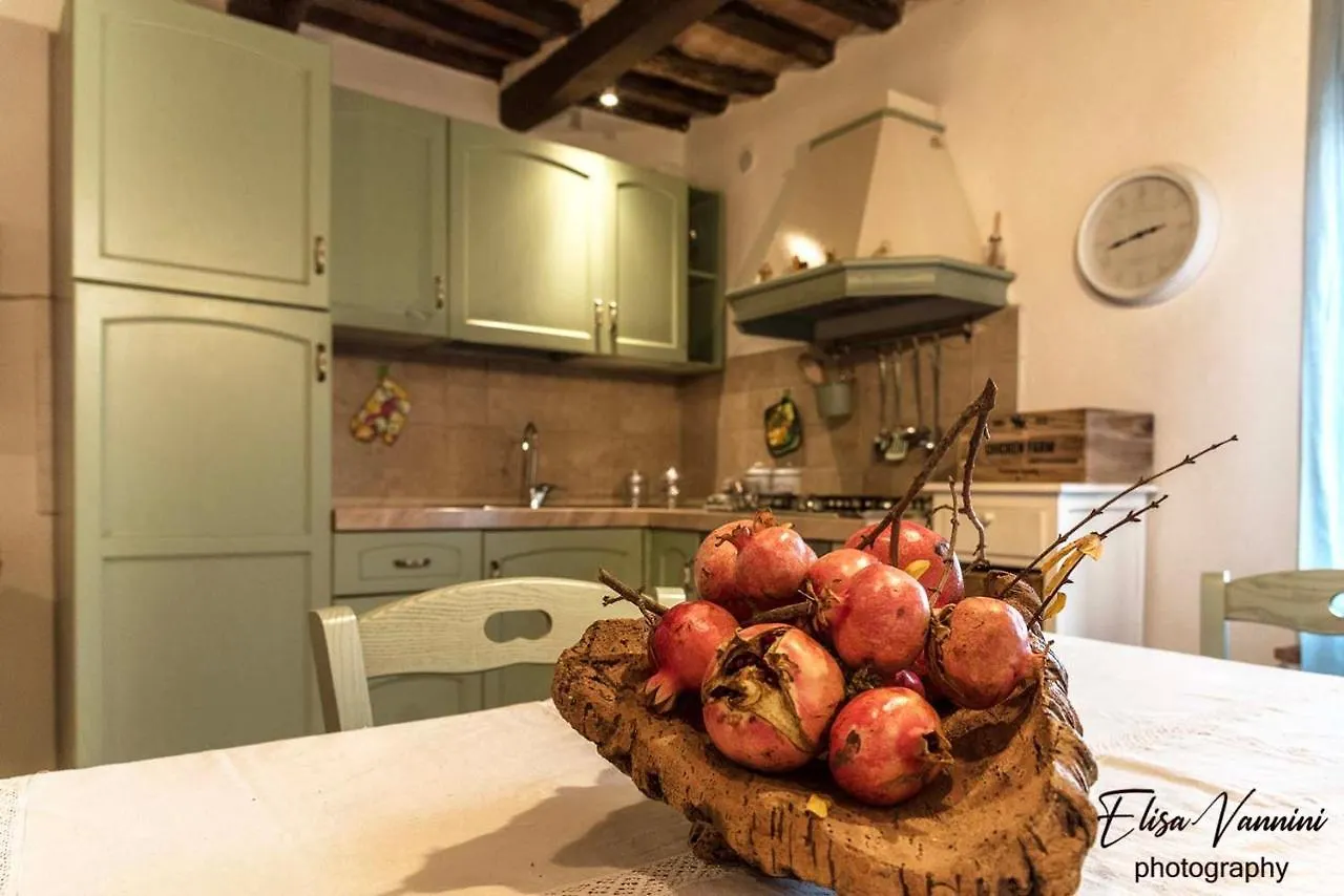 Casa vacanze Villa A Casa di Titta Terricciola