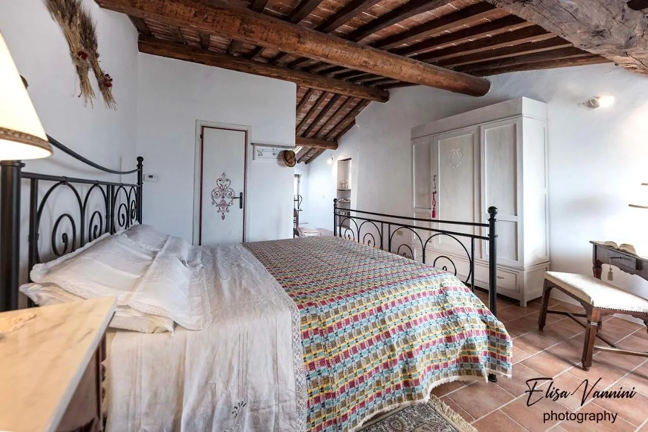 A Casa Di Titta Villa Terricciola