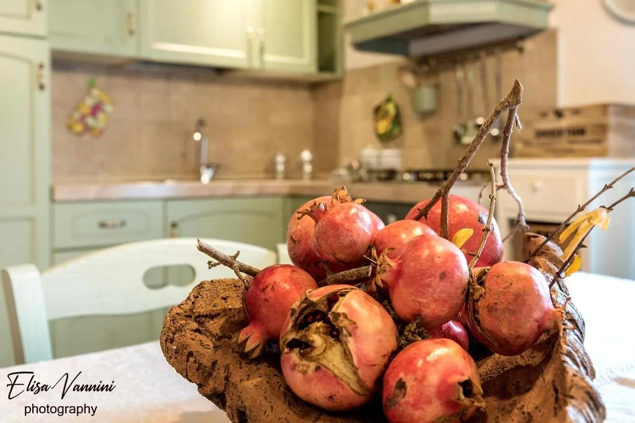 A Casa Di Titta Villa Terricciola Holiday home